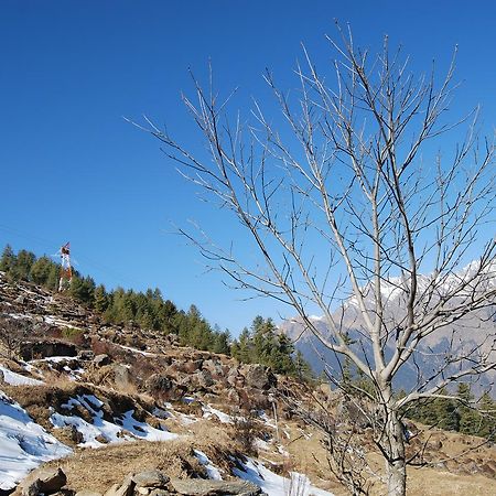 Auli Resort Joshīmath Екстериор снимка
